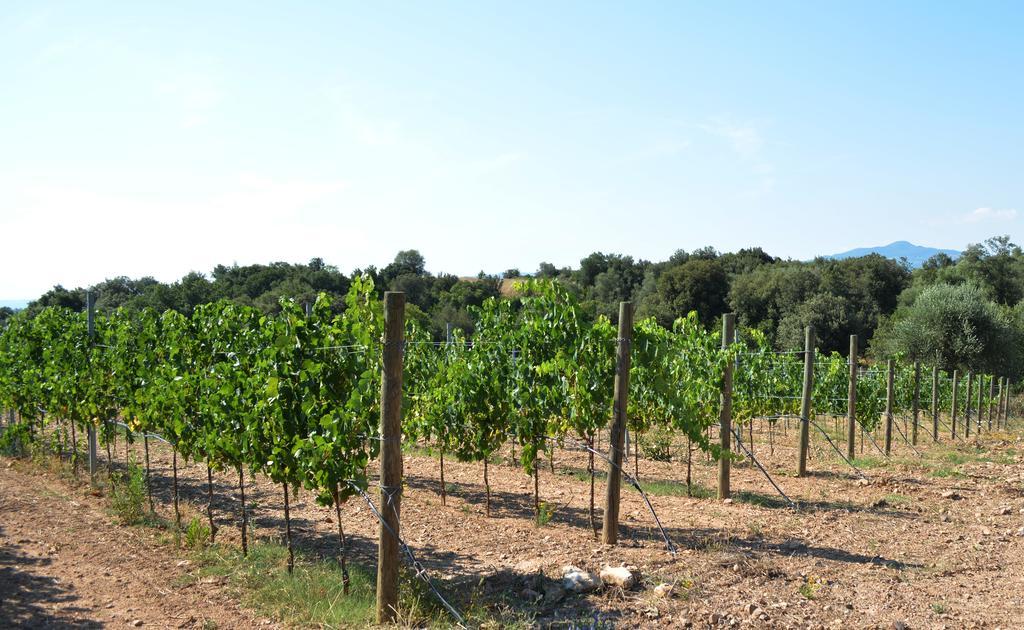 Tenuta Di Maro Sticciano Exterior foto